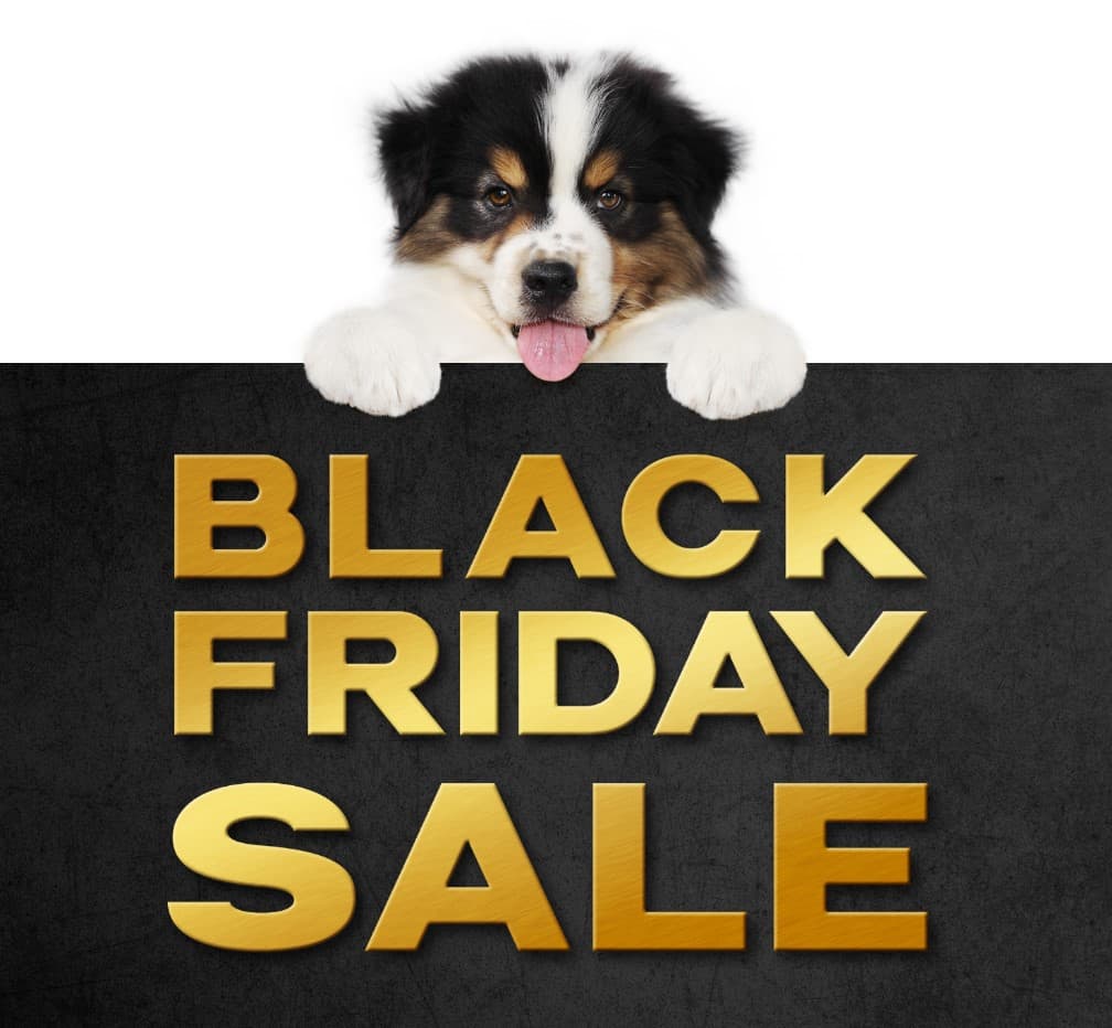 Pet Smart Black Friday Pet Smart Black Friday Sale