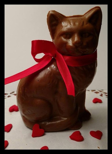 Candy Cat Cat candy Valentine's day gift
