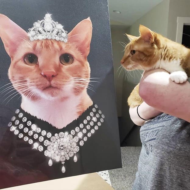 Cat Picture Gift Cat painting gift for a Valentine's Day