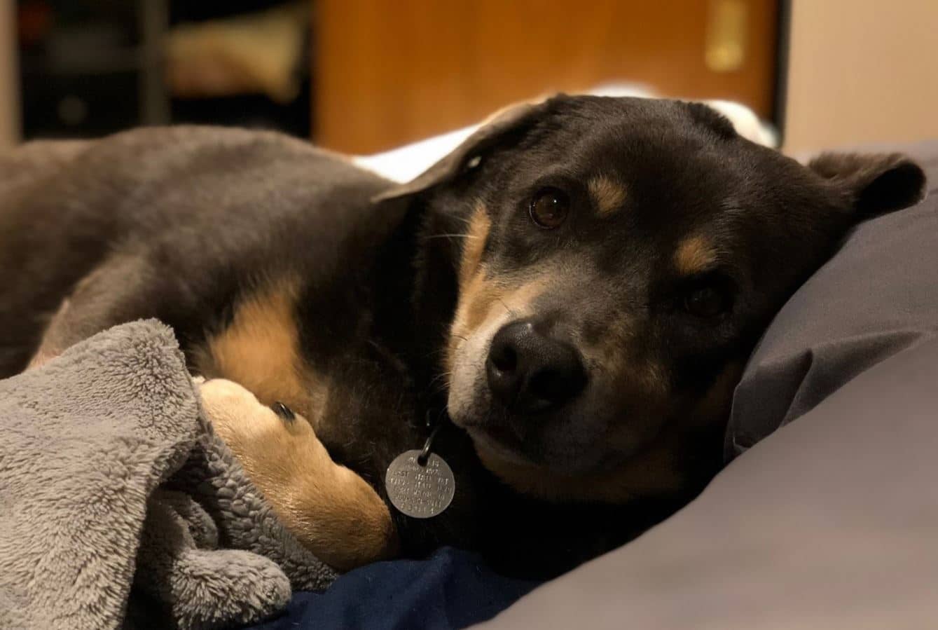 Walter Lying Walter lying