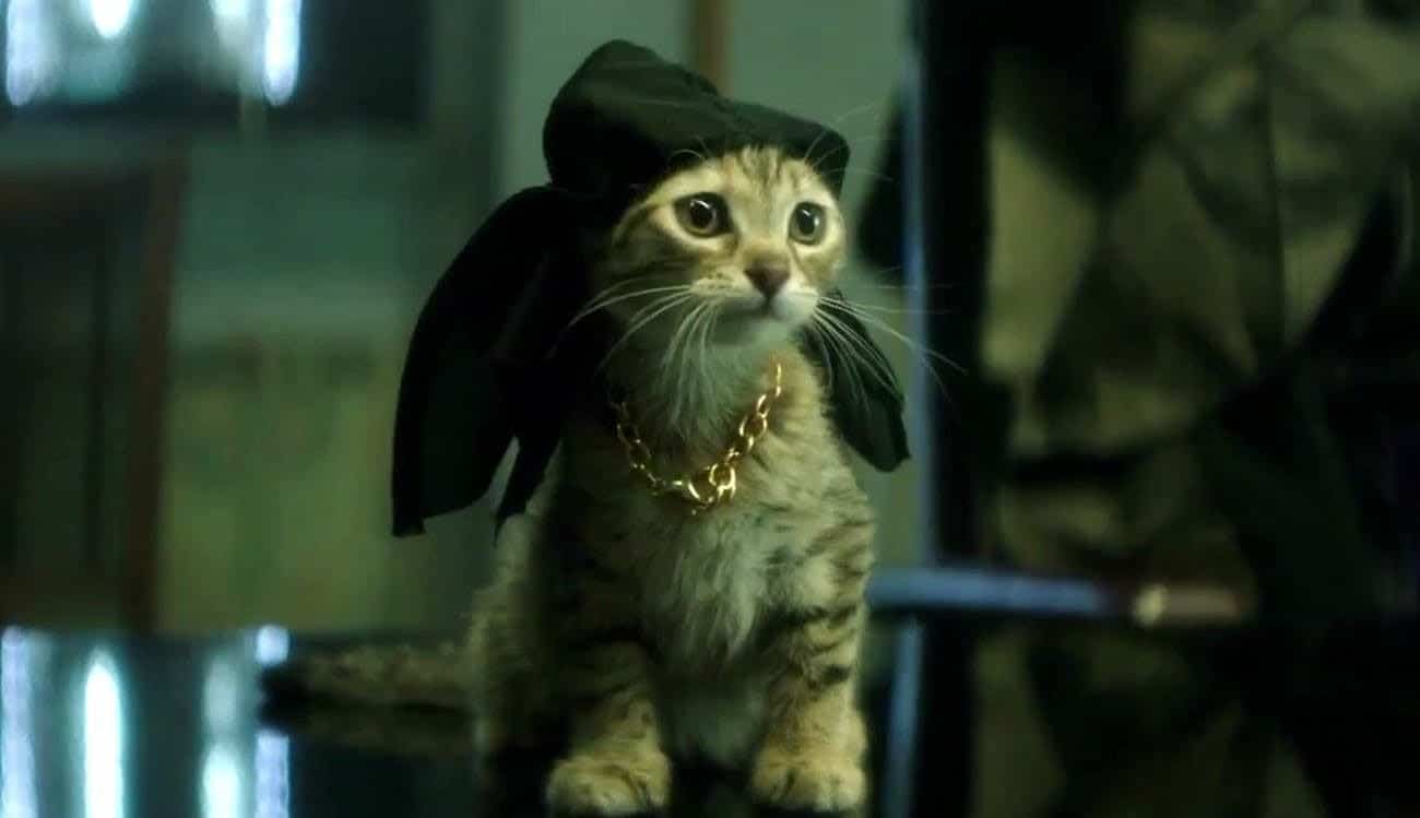 Keanu Keanu is a great action-comedy about a tough, yet adorable, kitten