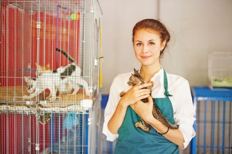 Woman Holds Cat Woman holds a cat at a shelter