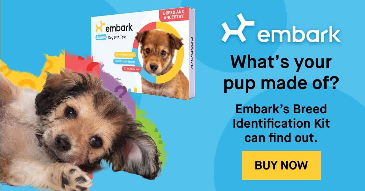 Embark buy now Embark buy now link