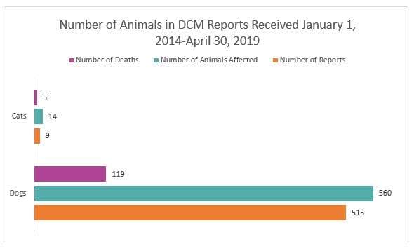 Report DMC Number of animals in DCM reports