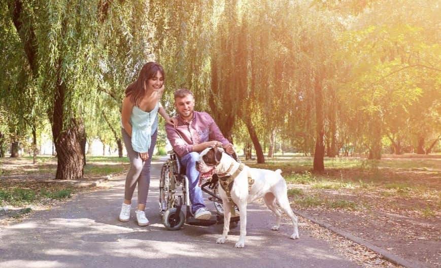 Wheel Chair Dog A family and guide dog at a park