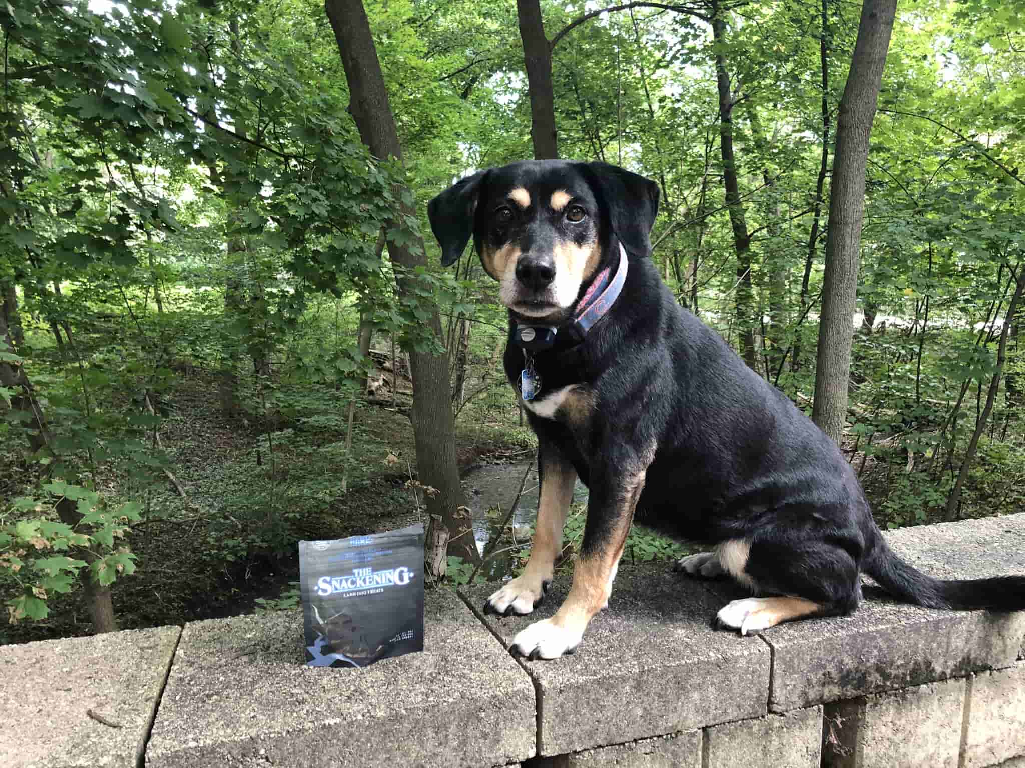 Hermosa Treats Hermosa reviews The Snackening Pork Treats