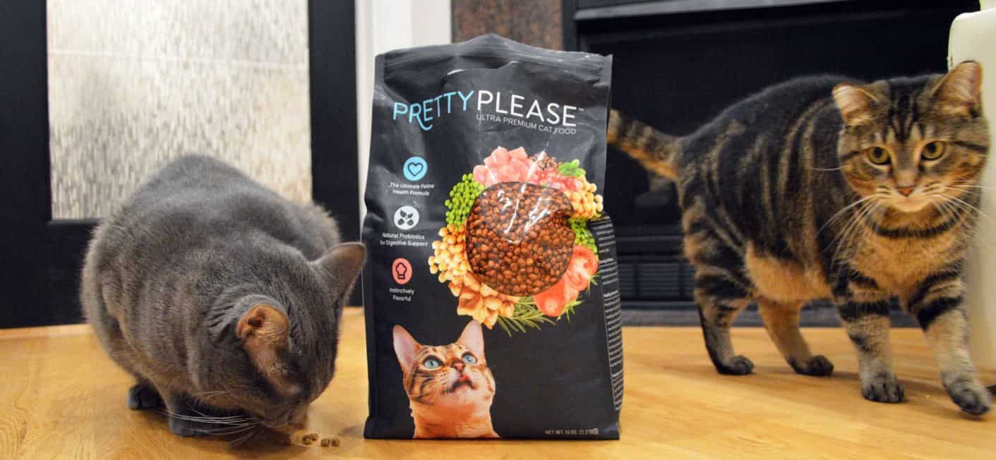 Pretty litter cat food hotsell