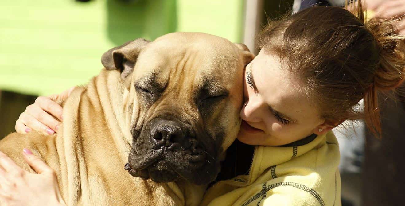 Dog and Woman Woman hugs dog