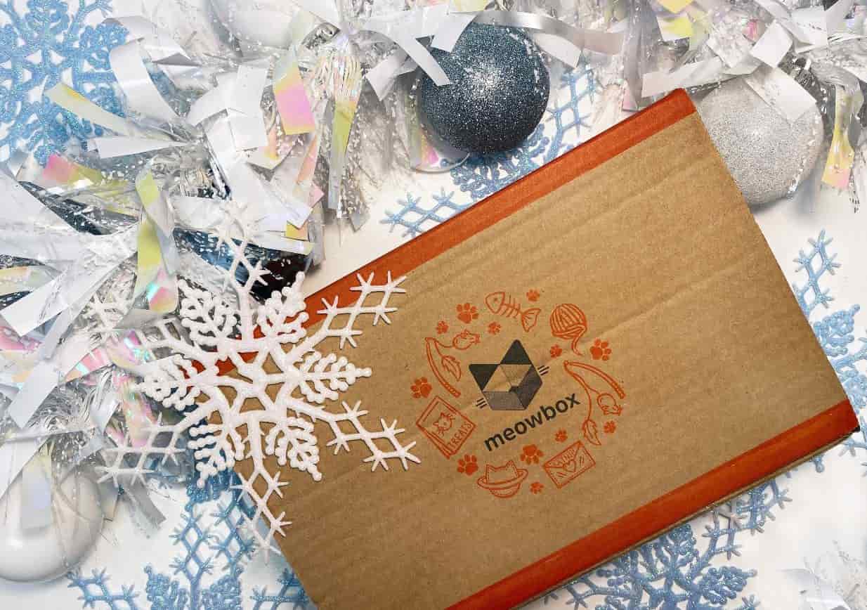 Snow Meowbox Meowbox with snow decoration
