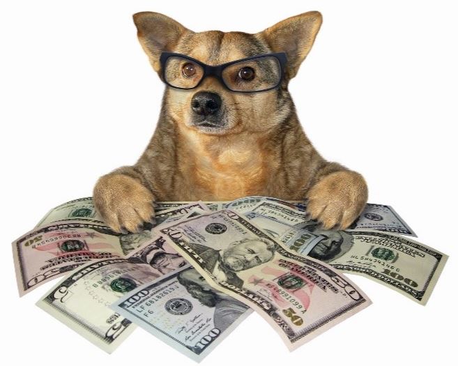 Dog with Money Dog wearing glasses with US dollars