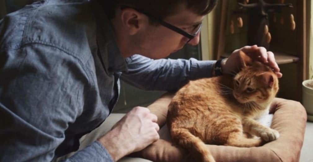 Man and Cat Man petting his cat on sofa