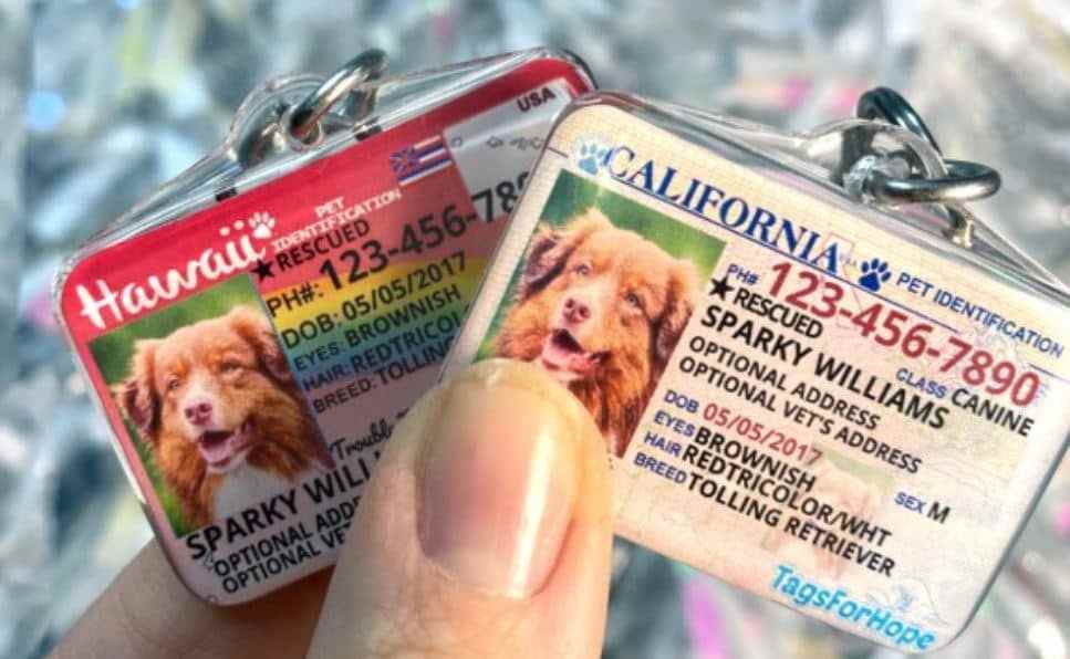 Pet ID Tags 2 ID of California and Hawaii