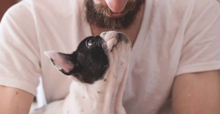 Bearded Man Hugs Dog Bearded man hugs a dog