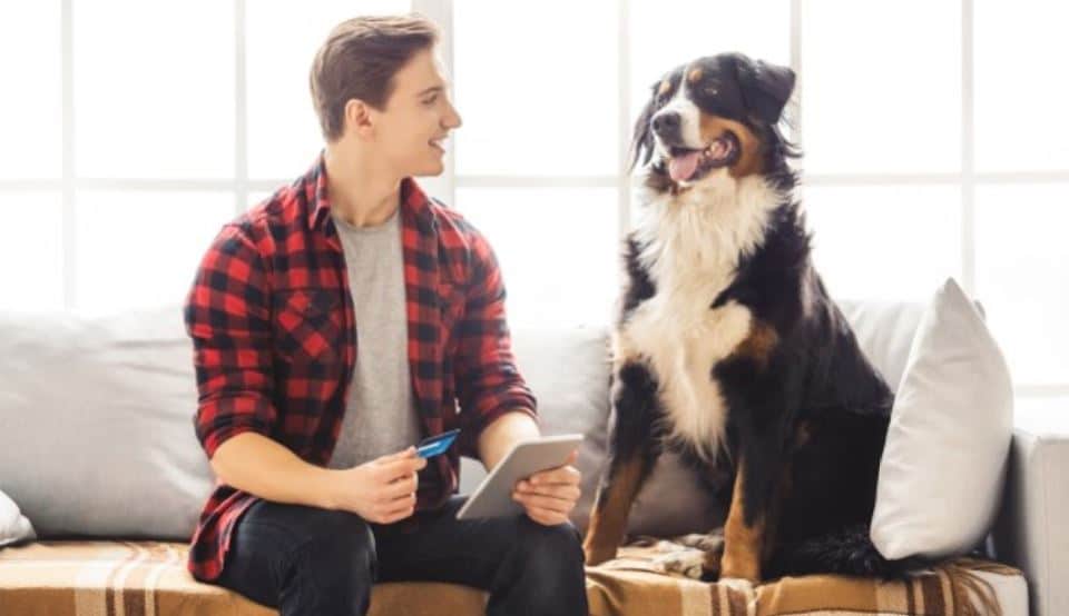 Payment Dog Man making payment on tablet with his dog