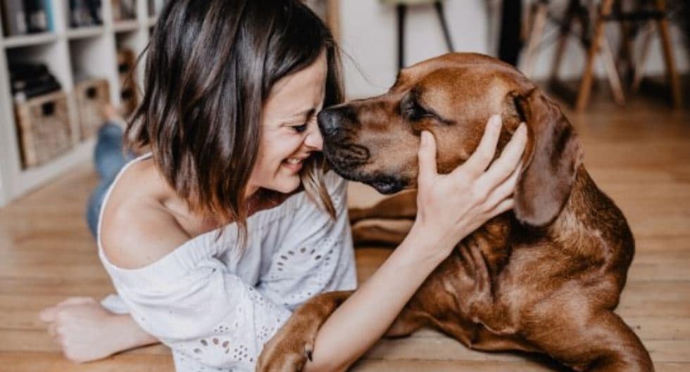 After Groom Dog and parent on the floor