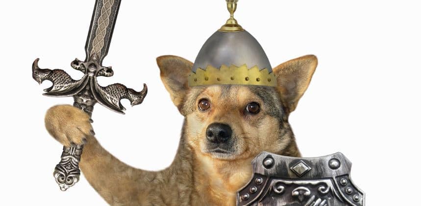 Dog Classic Soldier Dog wearing classic soldier costume