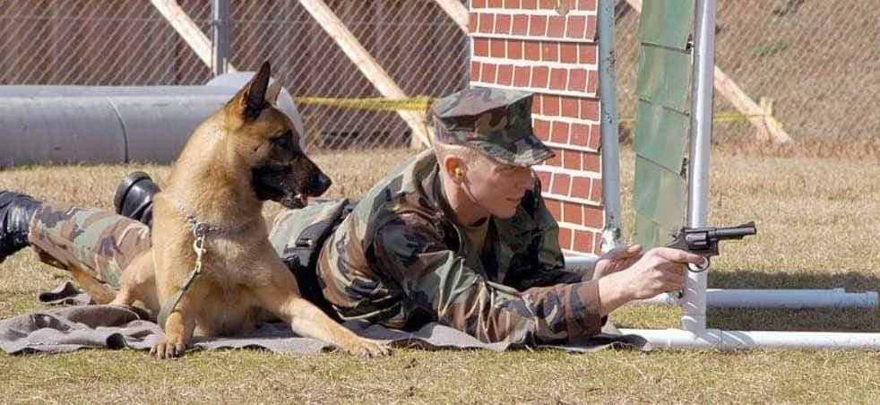 Cairo Cairo worked in Operation Neptune Spear