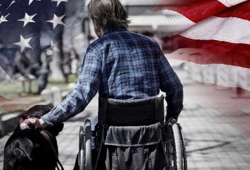 Wheel Chair Dog Retired soldier in a wheel chair and dog walk together