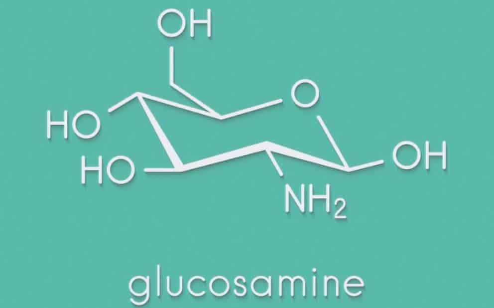Glucosamine Glucosamine components