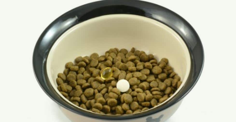 Pills In Food Pills in pet's food
