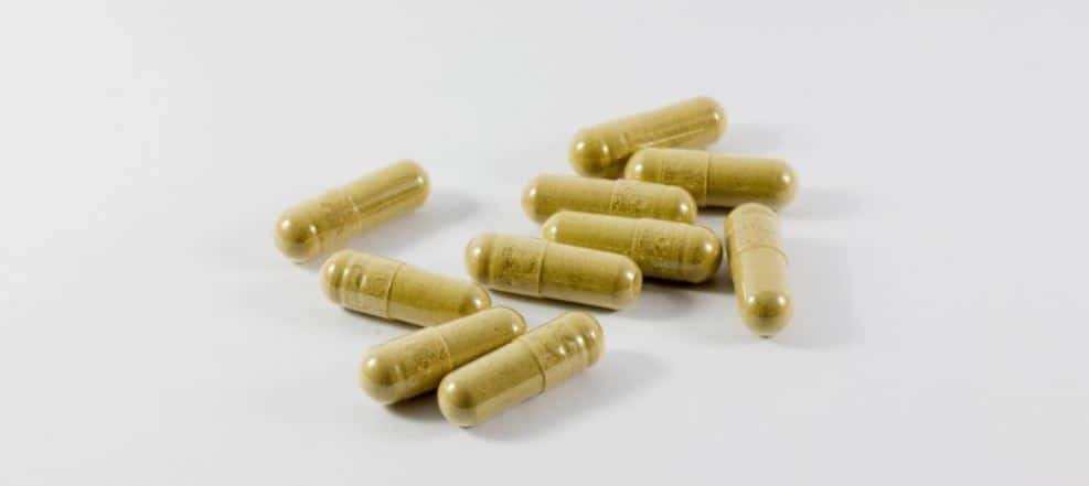 Medicine Capsules  Green capsules for pets