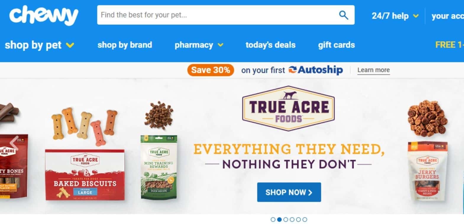 Chewy Chewy's website homepage