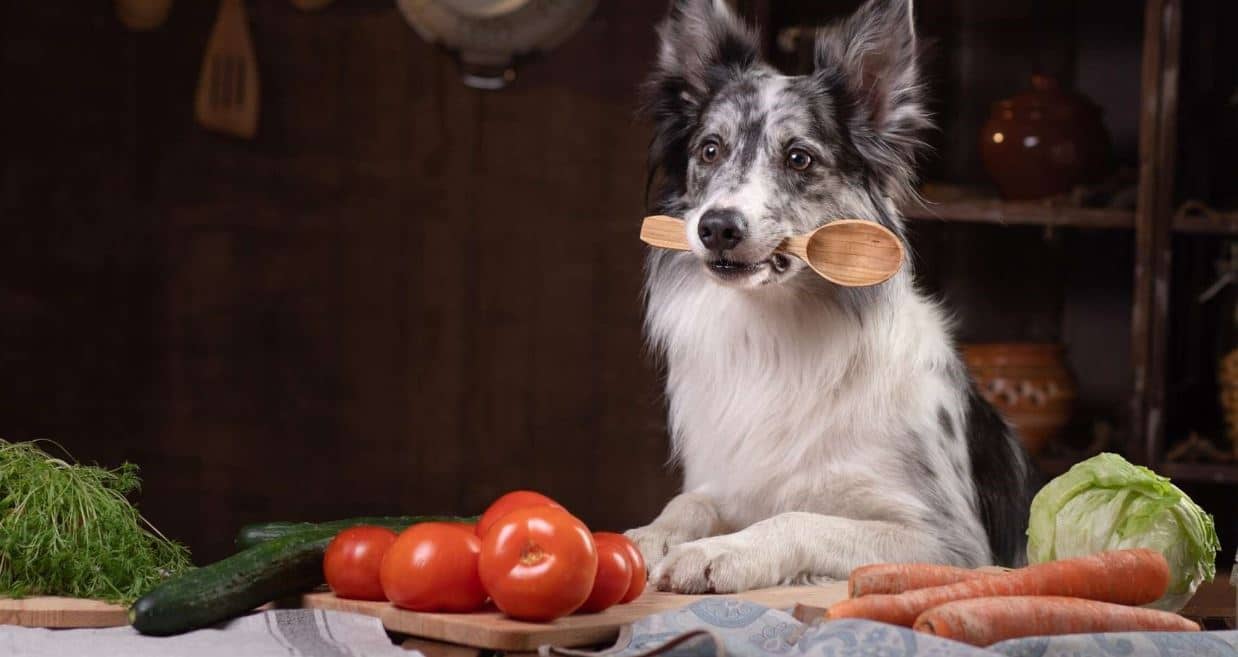 Food Preparing Dog preparing vegetables to cook