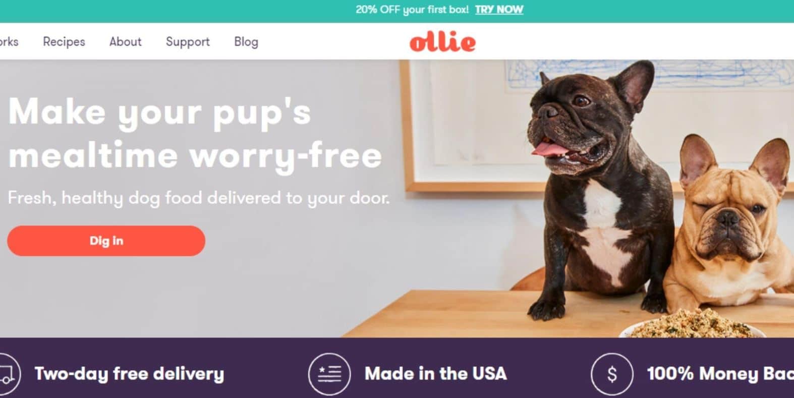Ollie Prudent Pet chooses Ollie as the best pet food company
