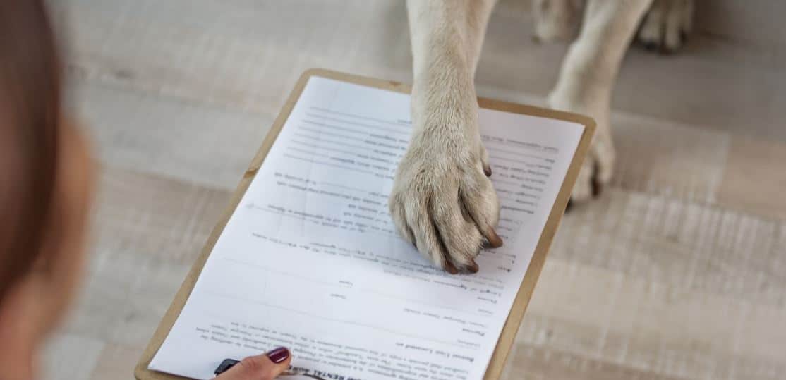 Paw Sign Dog sign off with his paw