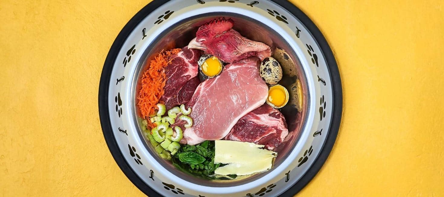 Raw Food Dish Raw food for dogs in bowl