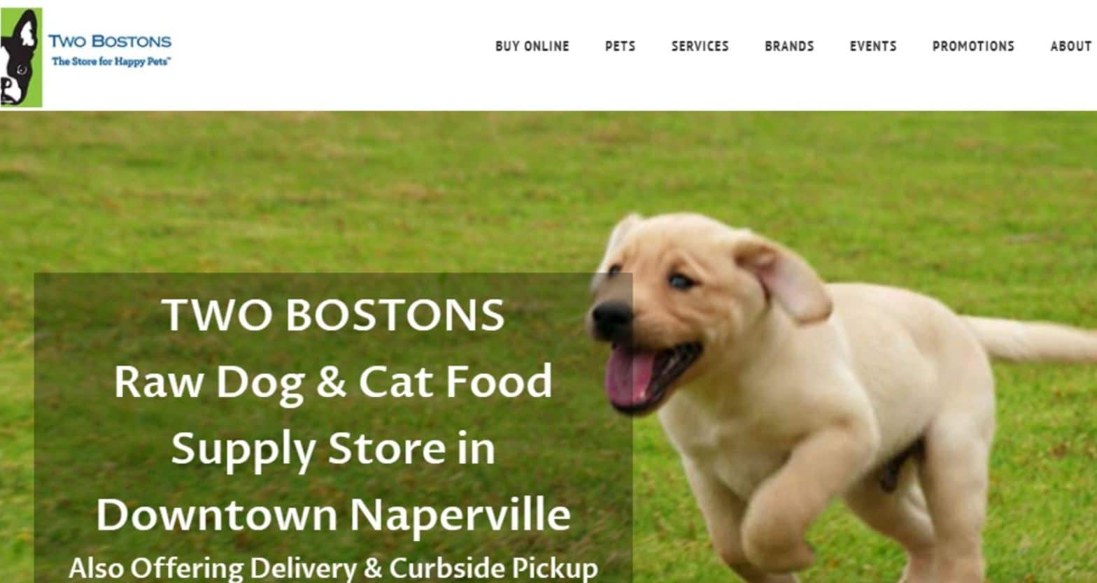 Twon Bostons Two Bostons as the 10th best delivery pet food