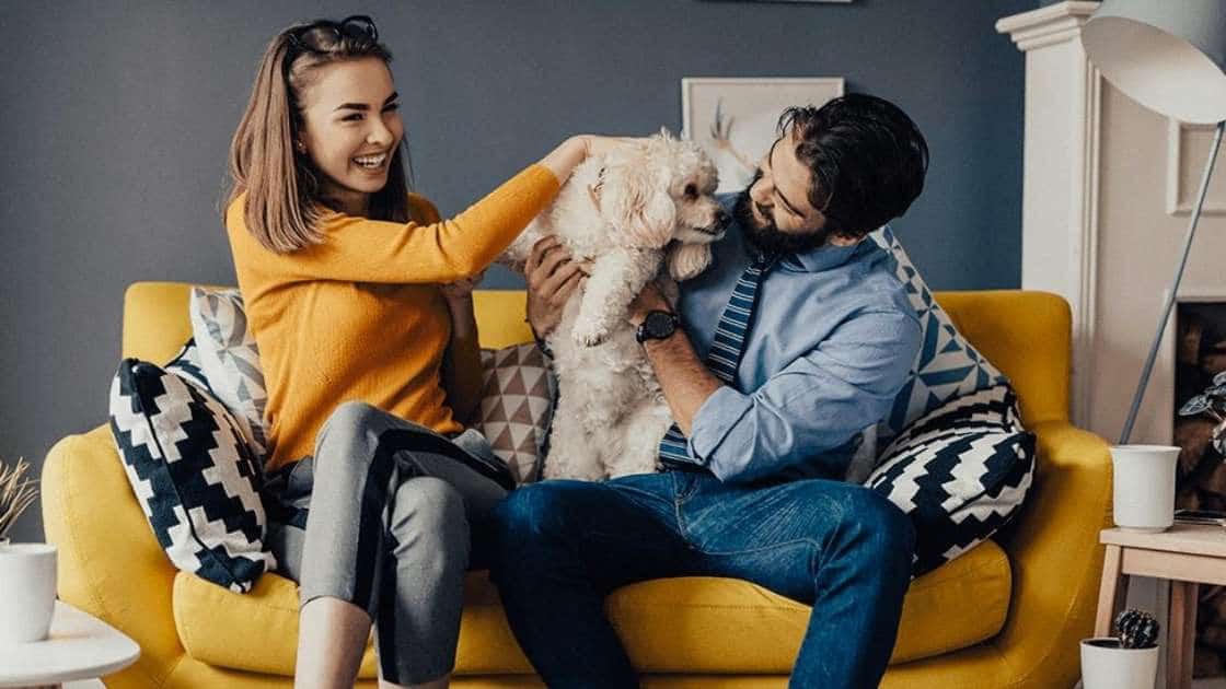 Pet Insurance Protects Pets From Accidents Couple holds wiggly puppy licking their faces on couch
