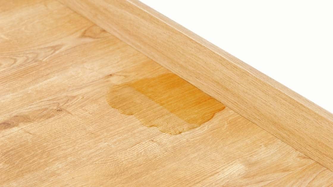 Cat Urine Outside of Litter Box Cat pee on hardwood floor