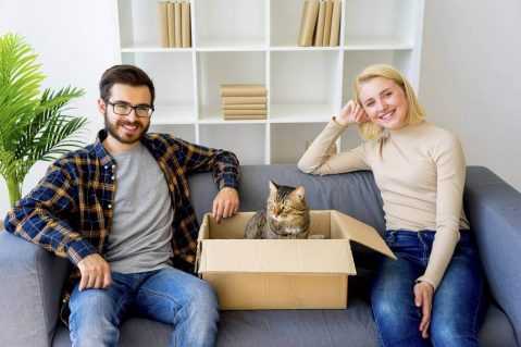 A couple sits on a gray couch in a living room with white bookshelves behind them. The man wears glasses and a plaid shirt, while the woman has blonde hair and a light-colored top. Between them is a cardboard box containing a tabby cat. The scene appears relaxed and domestic, with the couple smiling at the camera and the cat calmly sitting in the box.