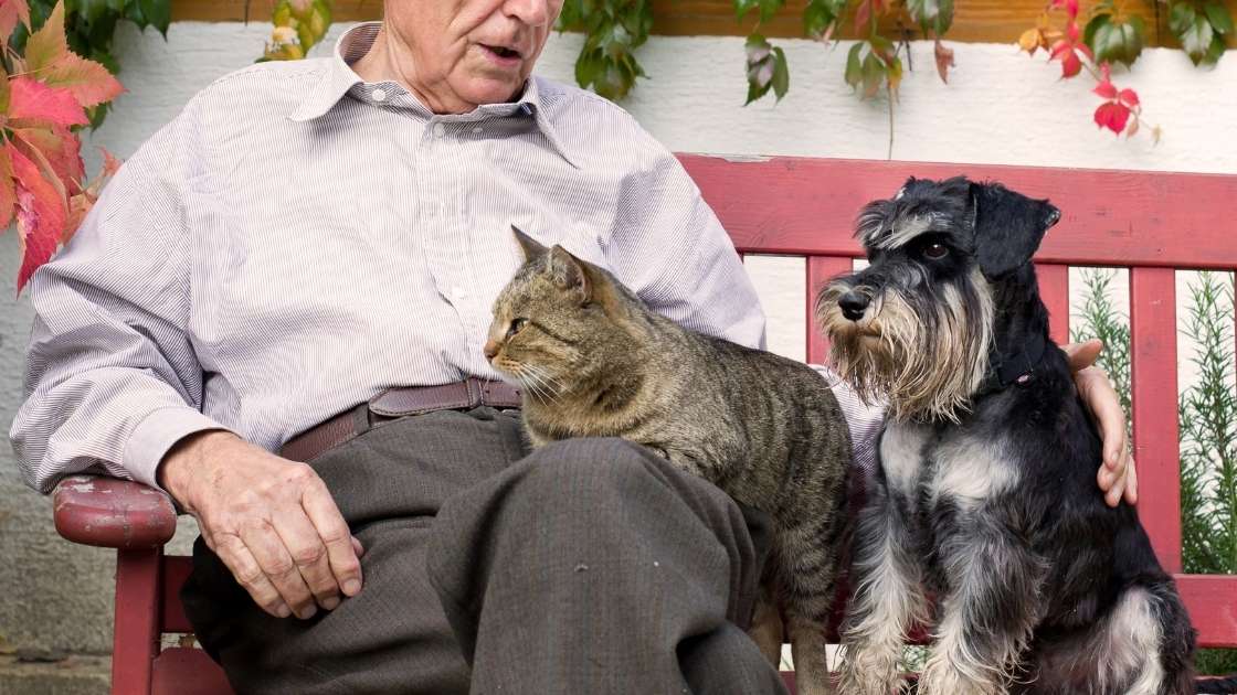 Pet insurance for senior dogs and cats Old man sitting with cat and dog on red bench