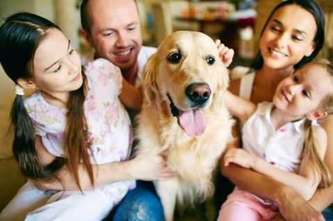 A happy family portrait featuring a golden retriever dog in the center, surrounded by smiling parents and two young daughters. The family is sitting close together, with the dog's tongue out. The scene appears warm and affectionate, capturing a moment of joy and togetherness.