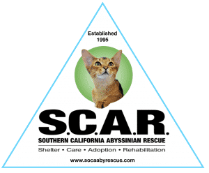 Logo for SCAR: Southern California Abyssinian Rescue