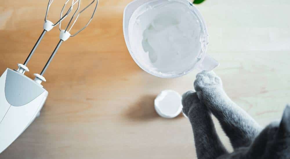 Cat preparing a holiday cake