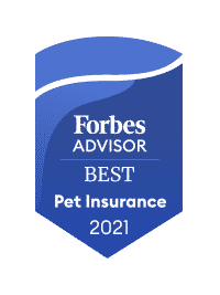 Forbes Advisor Logo